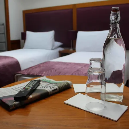 Affittacamere The Norseman Temple Bar 4*