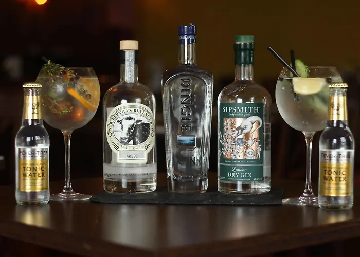 The Norseman Temple Bar Pensión Dublín