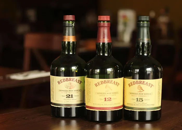 The Norseman Temple Bar Konukevi 4*