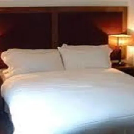 Gasthuis The Norseman Temple Bar 3*
