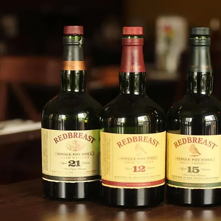 The Norseman Temple Bar بيت ضيافة 4*