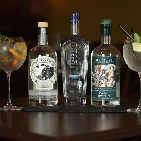 The Norseman Temple Bar بيت ضيافة دبلن